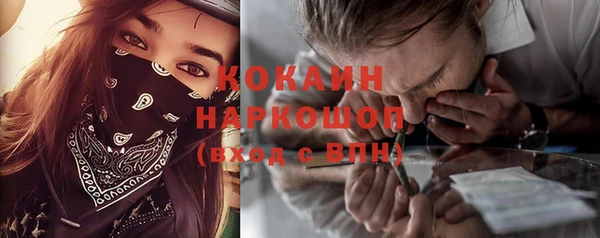 прущие грибы Нея