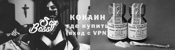 прущие грибы Нея