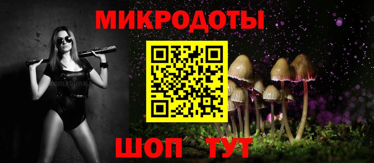 Псилоцибиновые грибы прущие грибы Лысьва