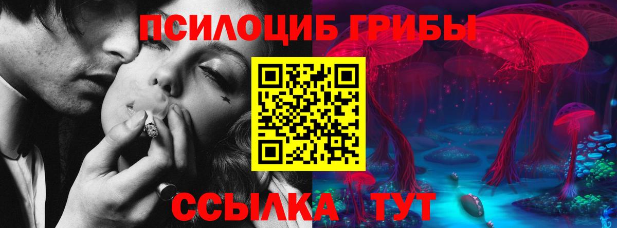 Псилоцибиновые грибы прущие грибы  Вход с VPN  Лысьва  Псилоцибиновые грибы MAGIC MUSHROOMS 